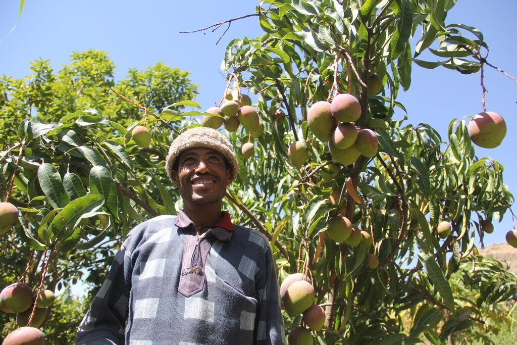 Ethiopian father Alemiye Yihun