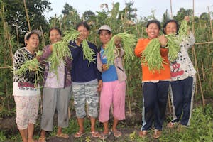 Martha and her Savings Group show off their bountiful harvest. Martha hesitated to join the group, but after witnessing her friend Naoi's (to her right) experience, she was convinced. Now, thanks to her vegetable supply, she no longer has to buy vegetables for her family.