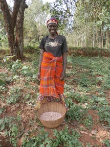 Marie Laeticia stands over a bowl of her beans harvested this season.