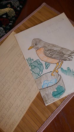 My essay circa, um, multiple decades ago, about the Michigan State Bird.