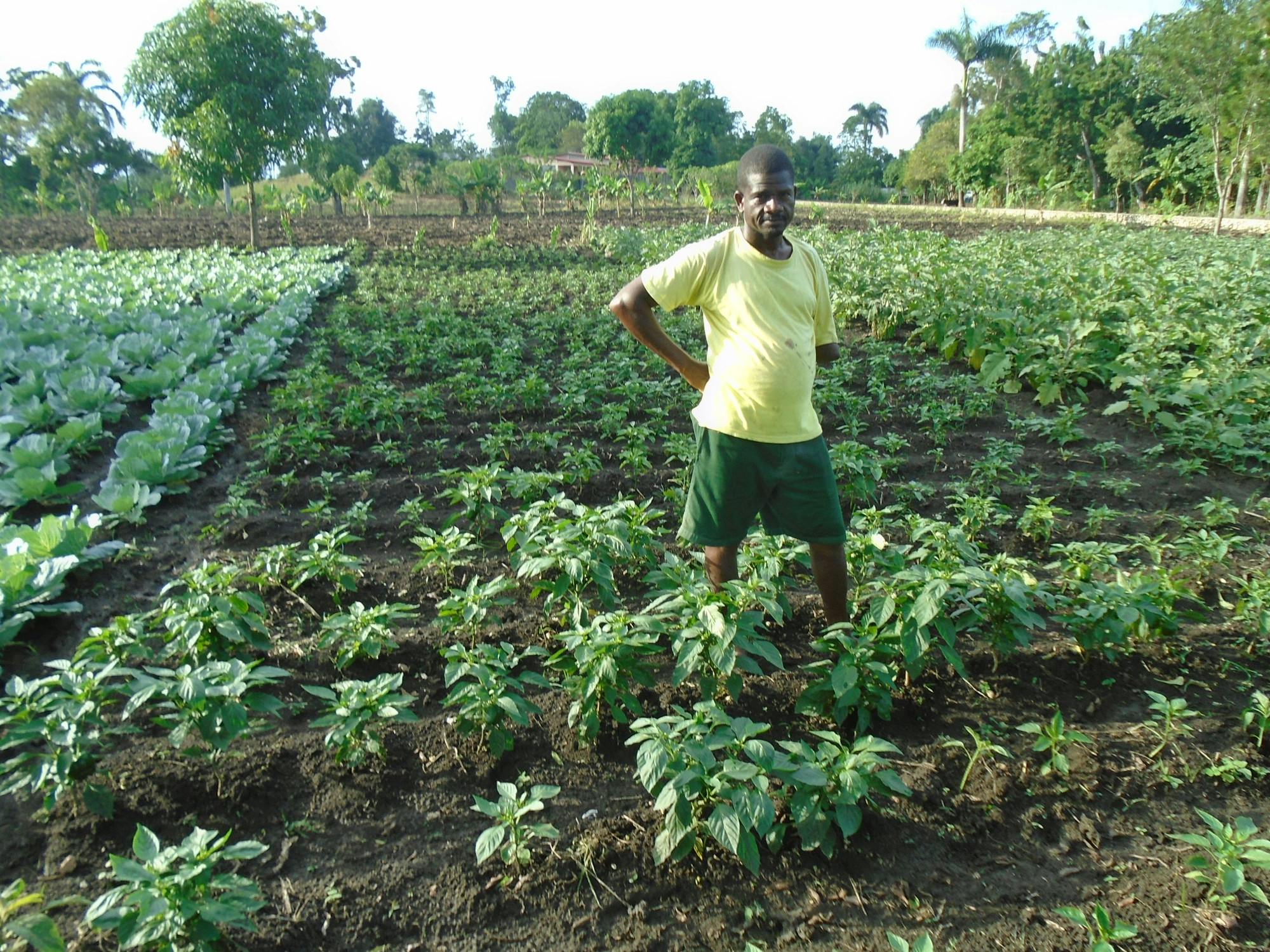 Odins Robert was able to receive agricultural training and vegetable seeds from FH. Now, he is able to provide for all of his family's needs despite his physical disability.