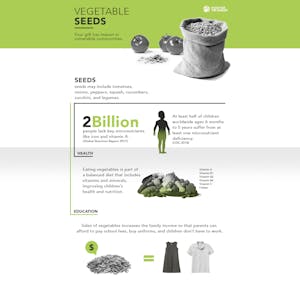 Vegetable Seeds Benefits