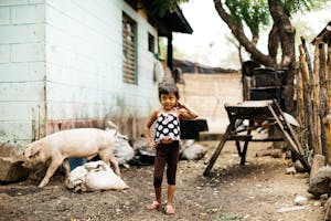 Little girl in Nicaragua stands outside a house with pigs outside