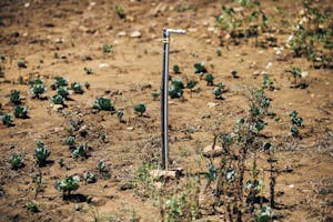 Farm Irrigation System in FH Ethiopia Community