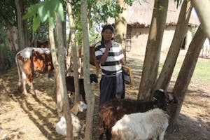 FH Ethiopia income generation participant with livestock