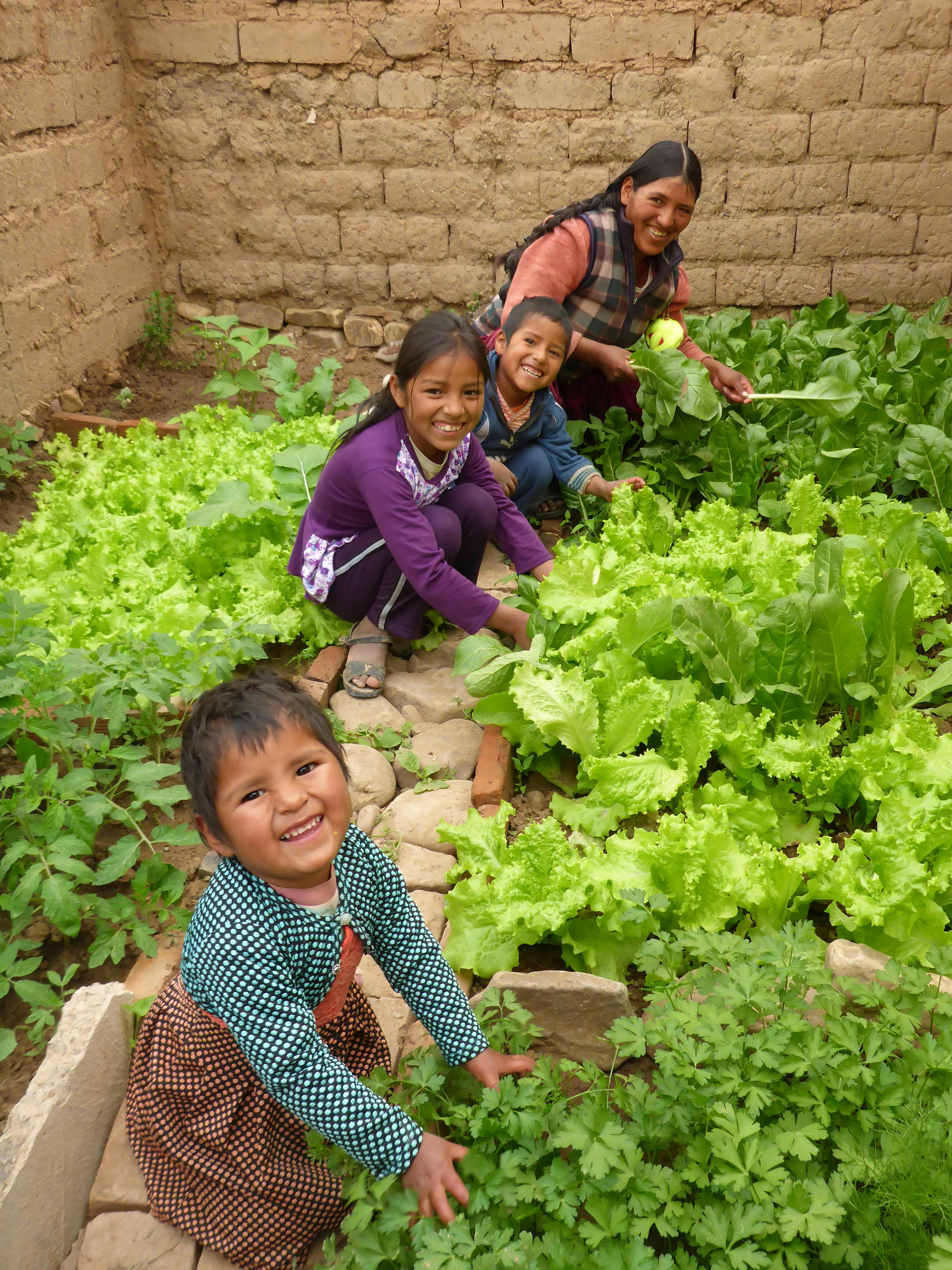 International Womens Day Photoessay - Mom and three children in Bolivia working in their greenhouse smiling by their lush agricultural produce like cabbage and lettuce
