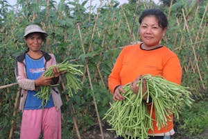 Two women in Philippines stand with their vegetables in the field