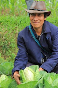 Guatemala farmer, Pedro, poses for a photo with his organically-grown cabbage.