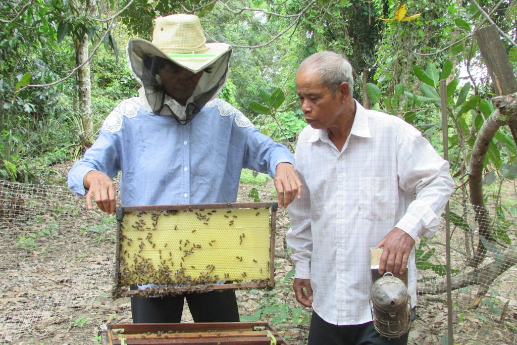 Hands on Beekeeping