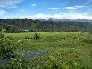 Indonesian landscape