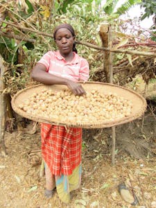 God S Story God S Character Is Revealed In Creation Informing Transformational Development Food For The Hungry God S Story God S Character Is Revealed In Creation Informing Transformational Development Food For The Hungry