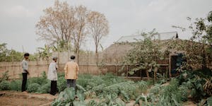 Three men survey green garden in Cambodia, in Food for the Hungry's work zone