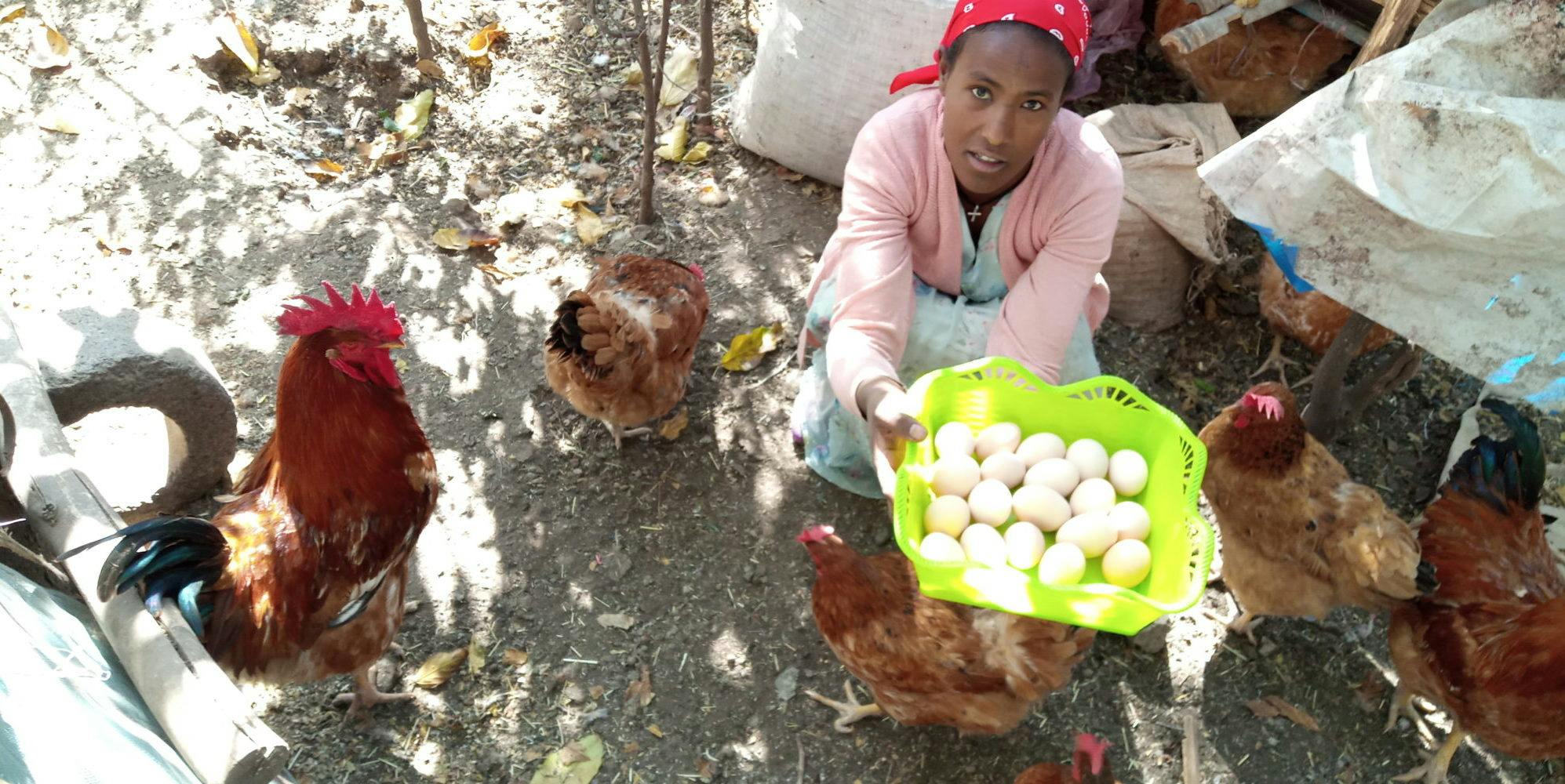 Ethiopian woman showing eggs and chickens