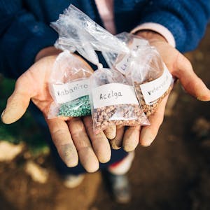 A woman holding vegetable seeds