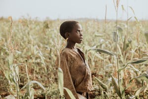 Boy in Burundi stands in a corn field and looks far off into the distance.
