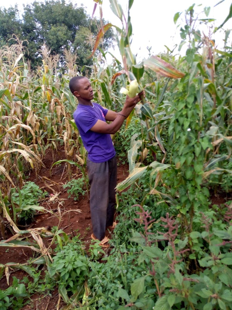 Abdub, A Farmer in Kenya
