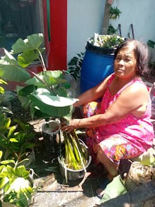 woman in pink shirt showing cut plants