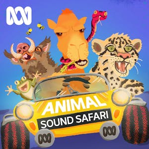 Animal Sound Safari Podcast
