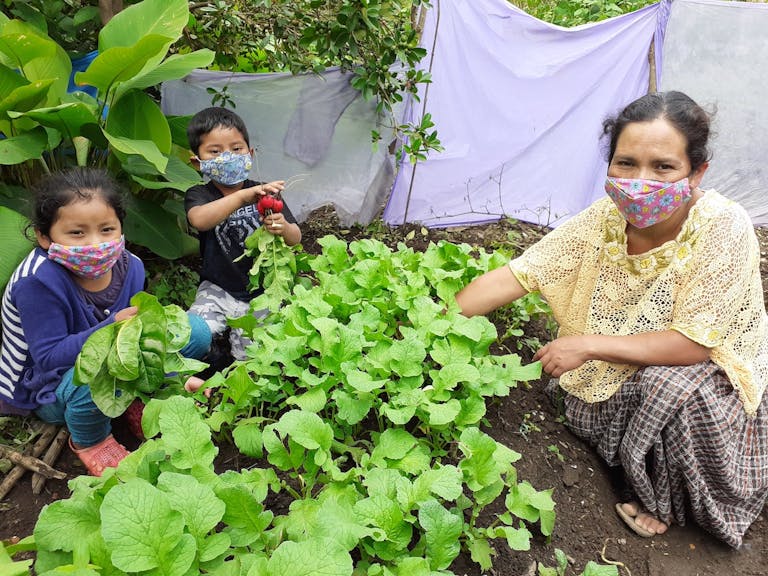Mother and children picking radishes