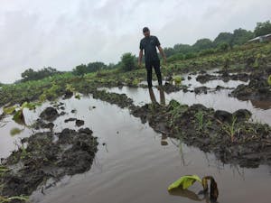 man in black shirt standing in flooded banana field after hurricane eta