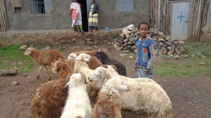 A caring mother once felt hopeless. Today she and her children raise sheep and other livestock and have hope for the future.