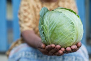 Woman holding cabbage