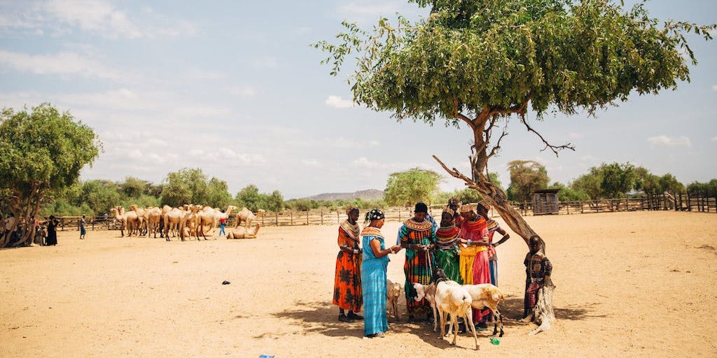 Women in Kenya gather under a tree in colorful clothing