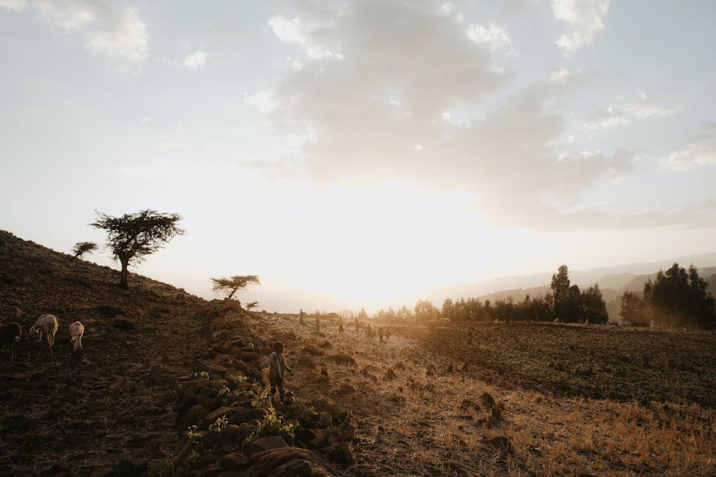 Ethiopia landscape