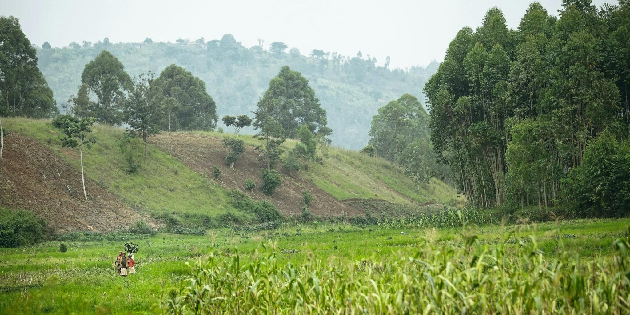 God's Story: God's Character Matters - Food for the Hungry