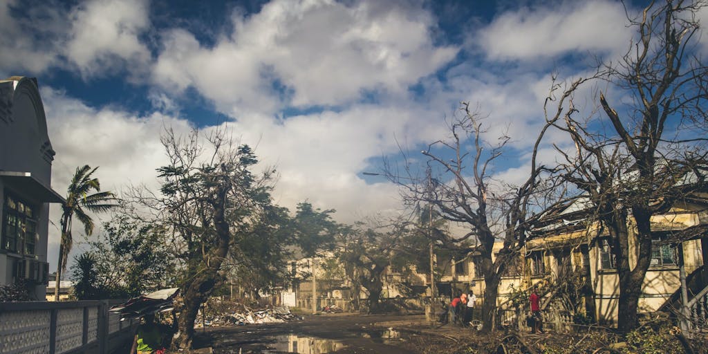 Mozambique cyclone disaster damage to trees and buildings