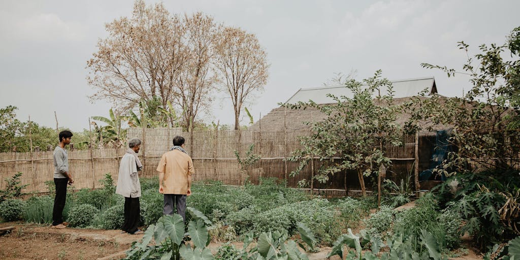 Three men survey green garden in Cambodia, in Food for the Hungry's work zone