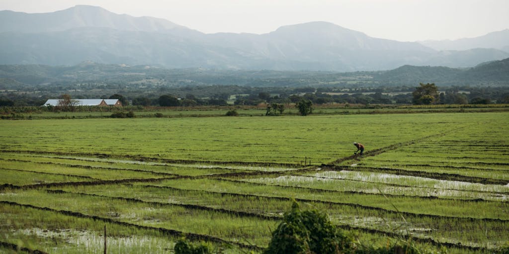 Image of God landscape