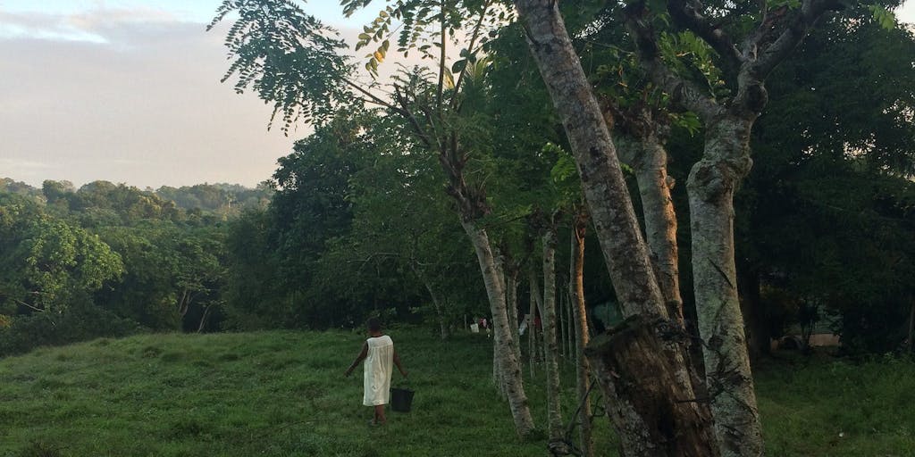 Virgina walking to collect water holding her bucket walking through grass