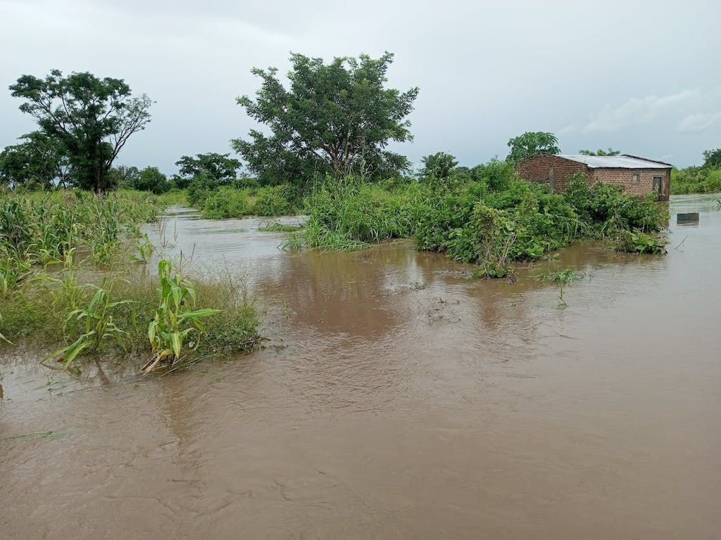 Disaster - Cyclone Freddy