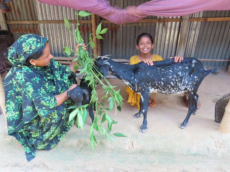 They-are-taking-care-and-feeding-of-her-goats