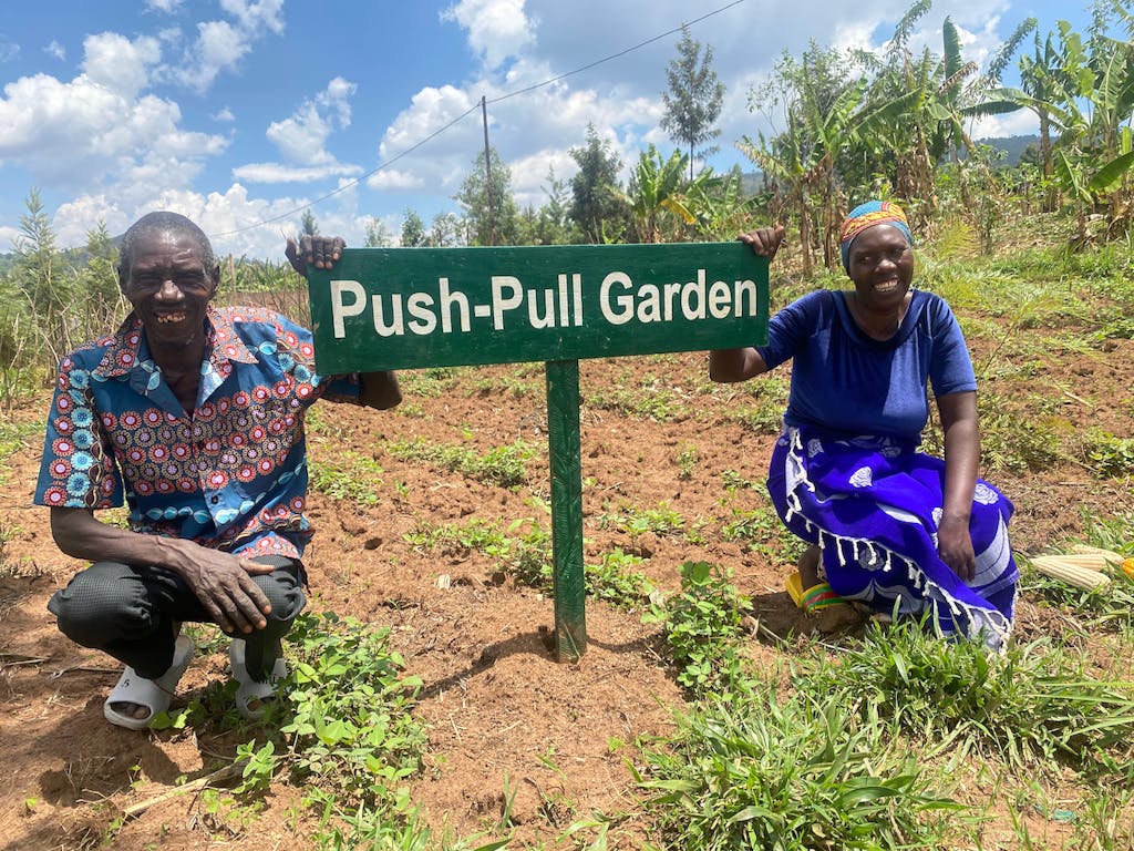 From Poverty to Prosperity: The Power of Push Pull Technology