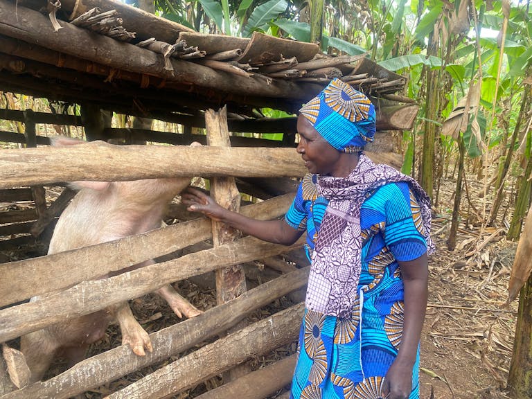 Pelagie cares for her livestock.