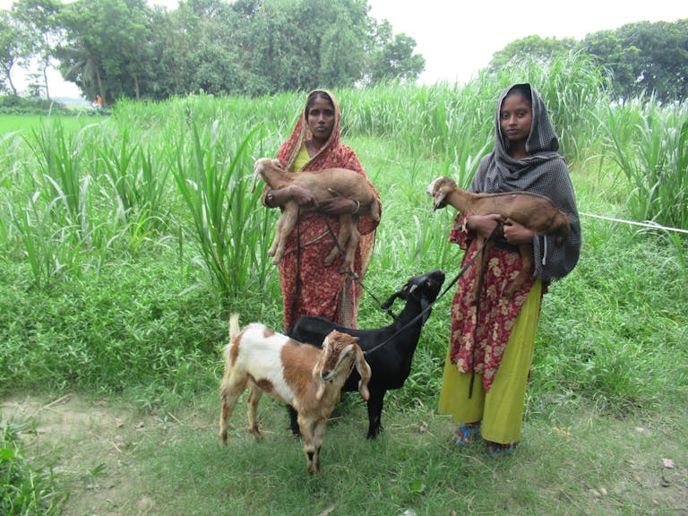 Hasiaya with her goats.