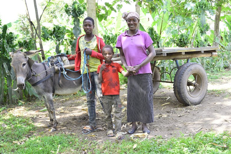 Livelihoods - Shebedino Integrated Community Development Project (ICDP)