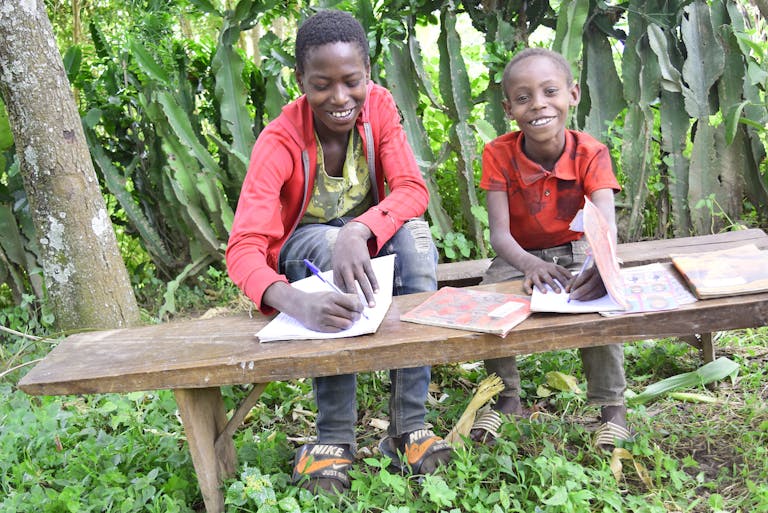 Livelihoods - Shebedino Integrated Community Development Project (ICDP)