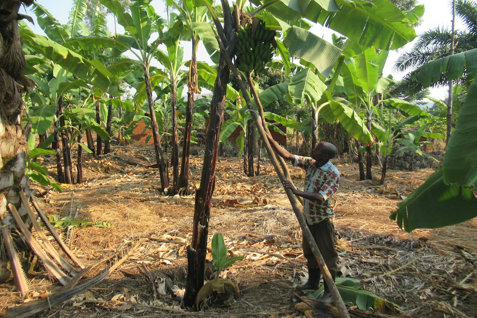 A Transformation From Self-Ridicule to Self-Worth - Food for the Hungry