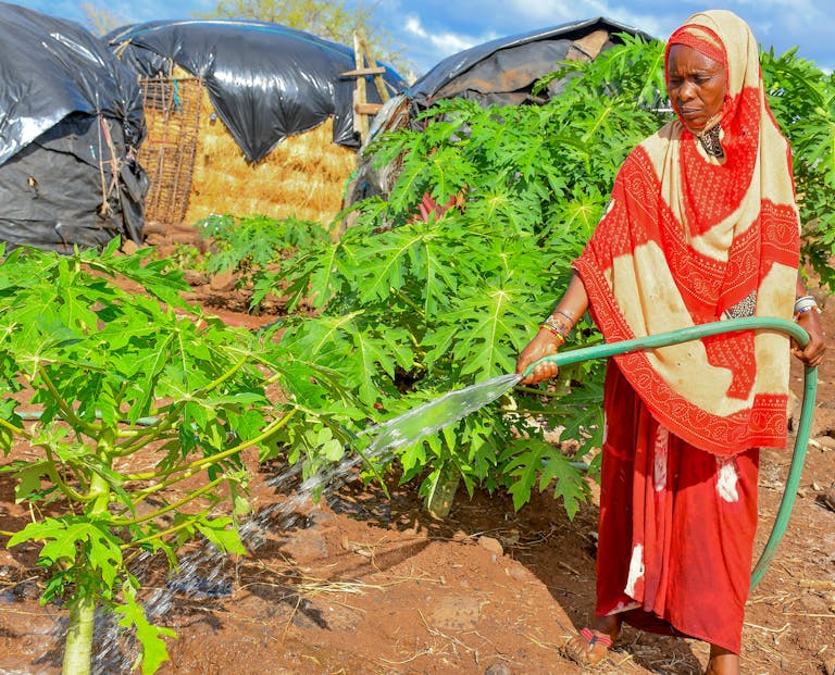 Access to reliable running water now allows Qabale to use a hose to water growing vegetation in her garden.
