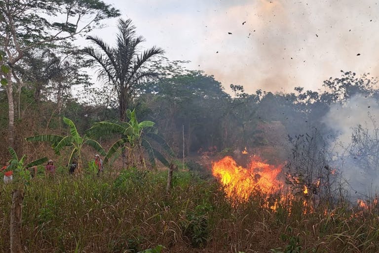 Bolivia’s fall 2024 wildfires scorched over 10 million hectares, marking the most devastating fire season in the country’s history.